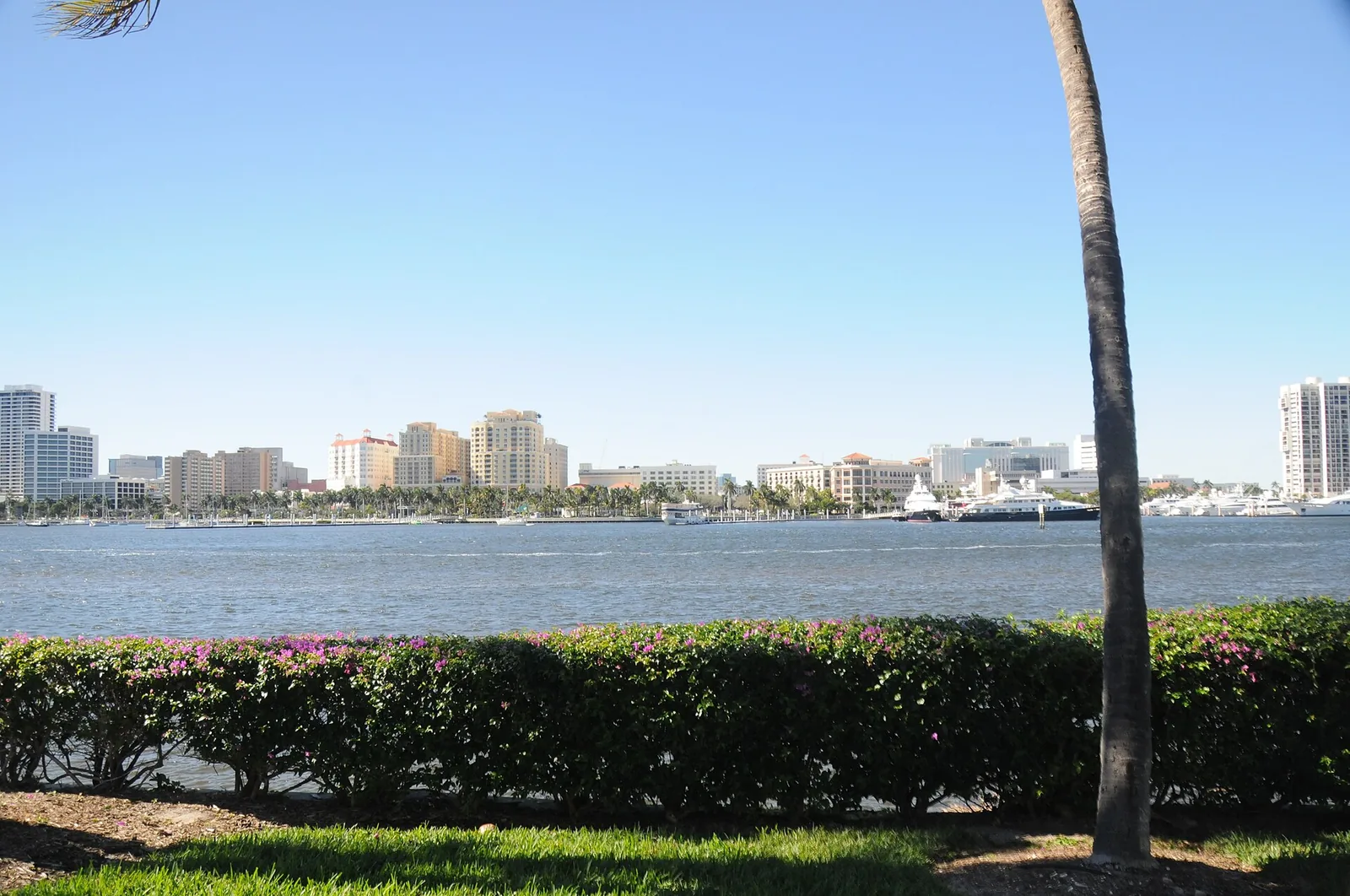 Downtown West Palm Beach and the Flagler Drive waterfront seen across the Lake Worth Lagoon, the stretch of water the marathon course follows.