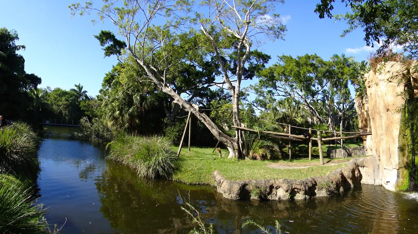 A lagoon and rock waterfall inside the Palm Beach Zoo at Dreher Park in West Palm Beach, home of the zoo's summer camp.